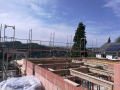 Maler-Stempel-IMG_20180829_144814.jpg